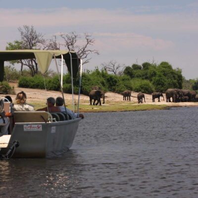 Elephant Valley Lodge Chobe Boat Cruise 2