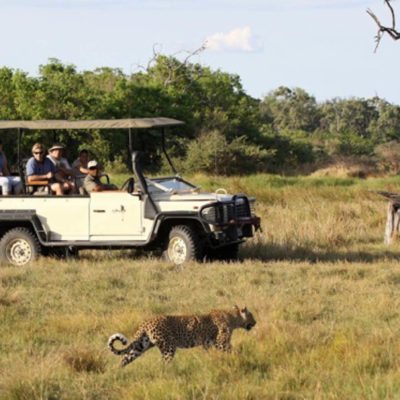 SSC-activities - game drive