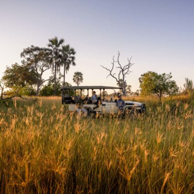 Africa, Botswana, Sanctuary Stanley's Camp