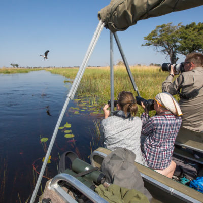 birding in the delta
